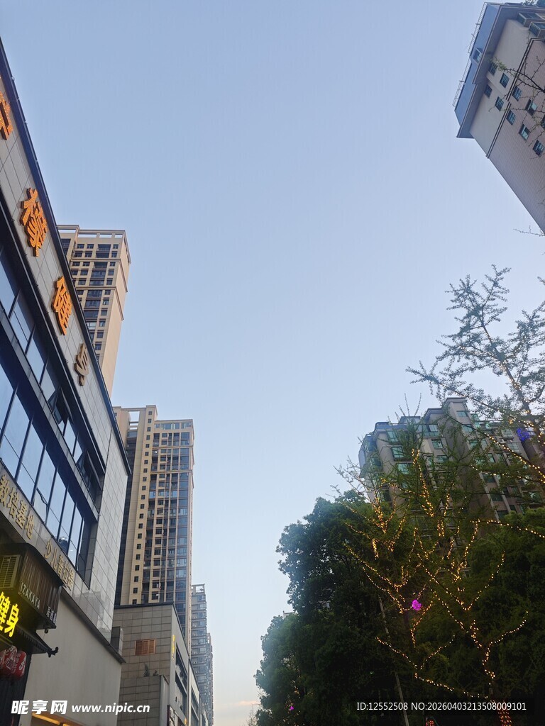 城市街道旁的高楼与绿树