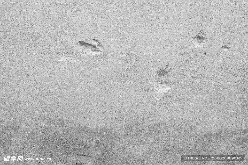 雪地上的串串脚印