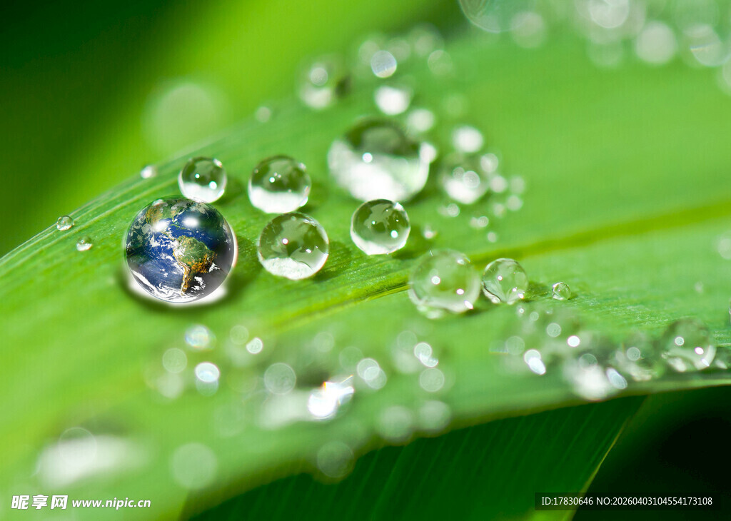 绿叶上晶莹的璀璨水珠