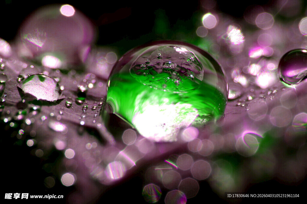 梦幻绿泡与紫色光斑