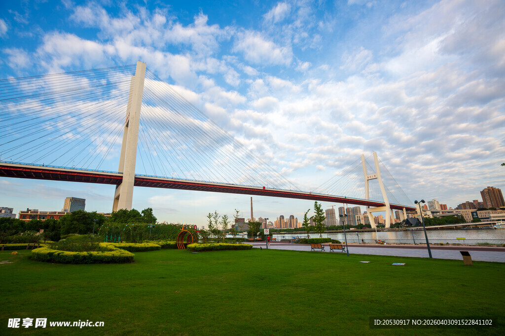 上海南浦大桥和城市滨江公园绿地
