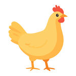 可爱小黄鸡