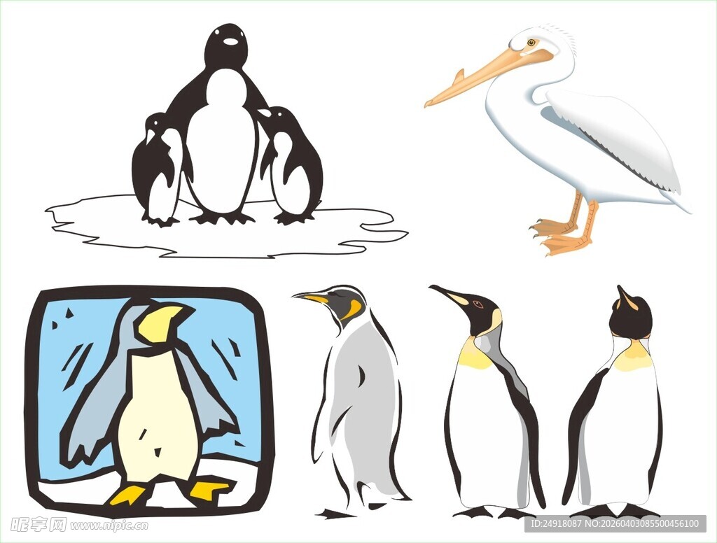 多样企鹅与海鸟插画