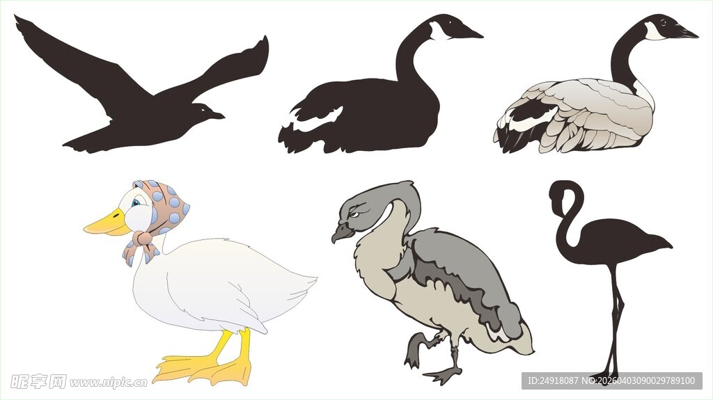 多种鸟类集合插画