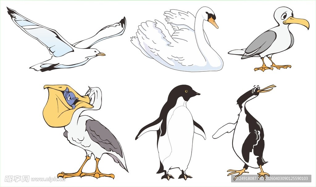多种海鸟插画