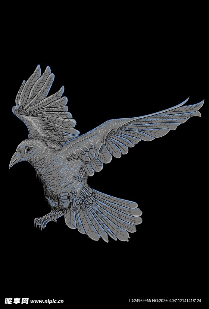 展翅飞翔的白鸽