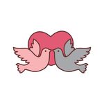 双鸽吻心爱意浓