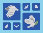 鸽子图案集合
