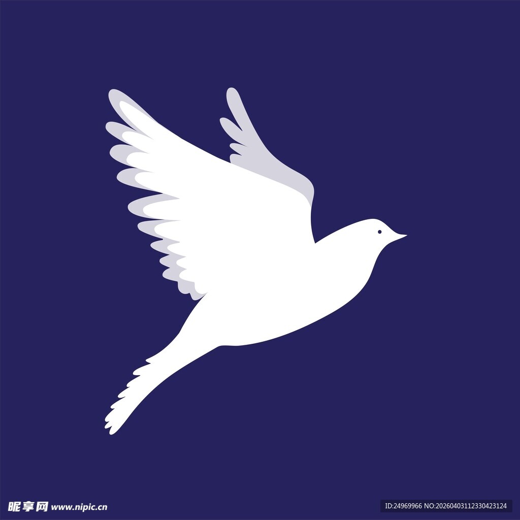 飞翔的白鸽