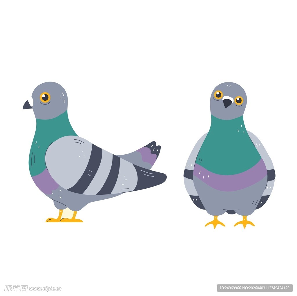 两只多彩鸽子