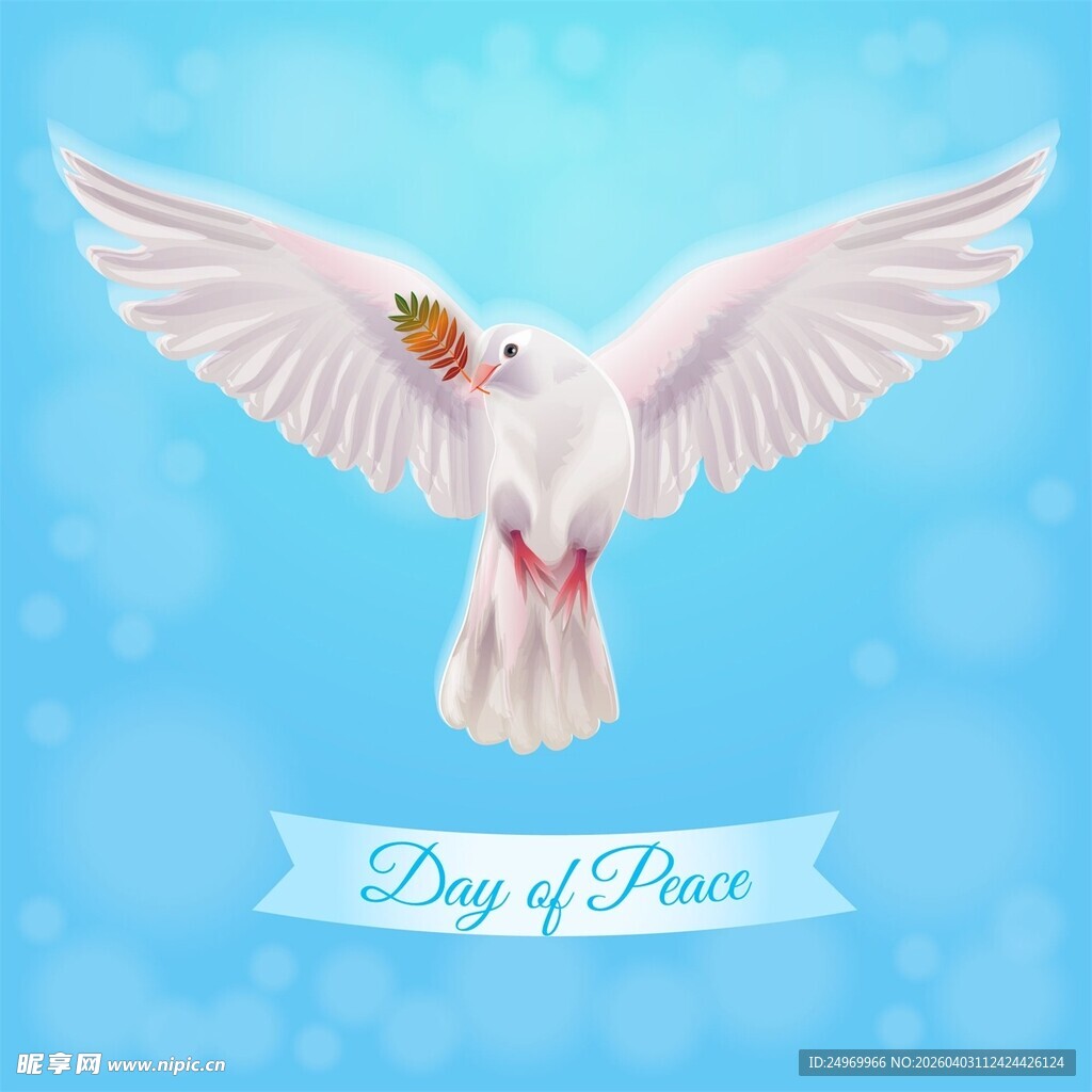和平白鸽展翅飞翔