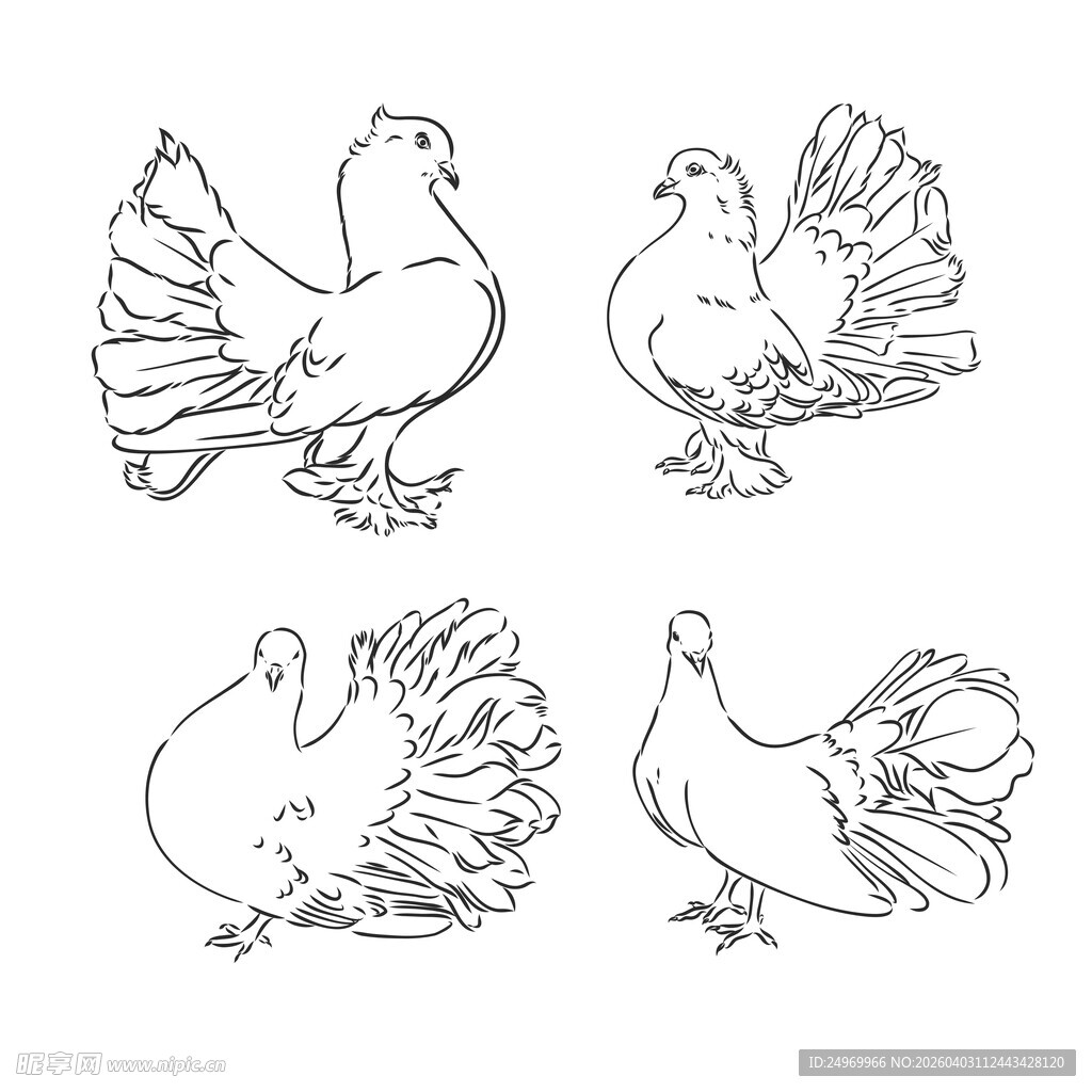 手绘鸽子图案集合