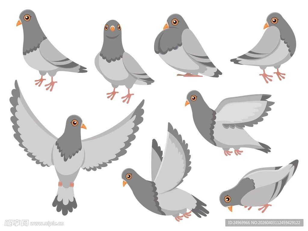 一群姿态各异的灰鸽子