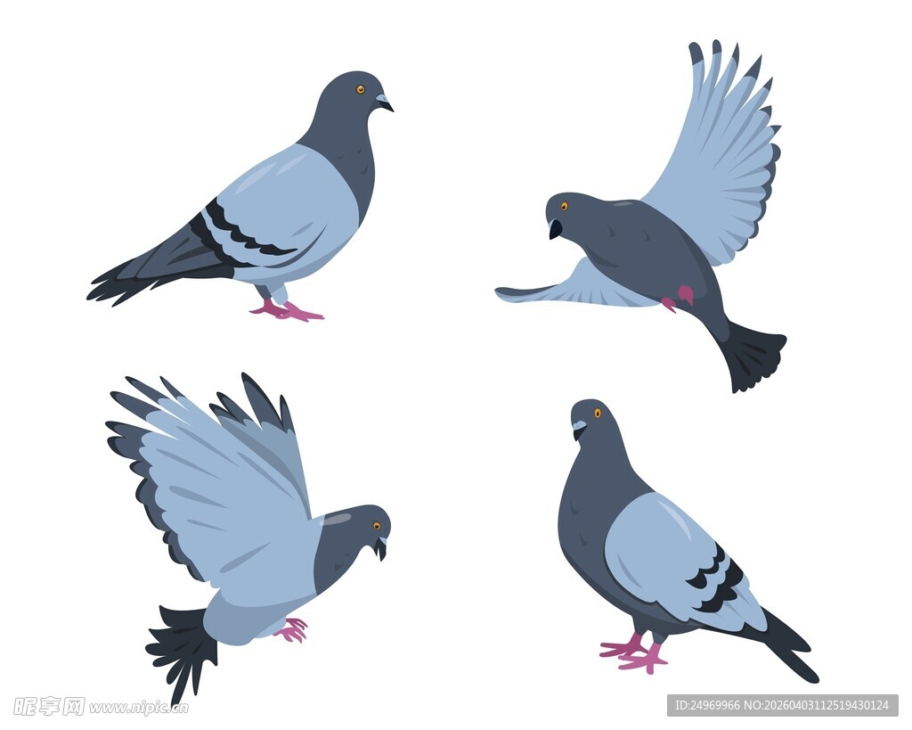 姿态各异的飞翔鸽子