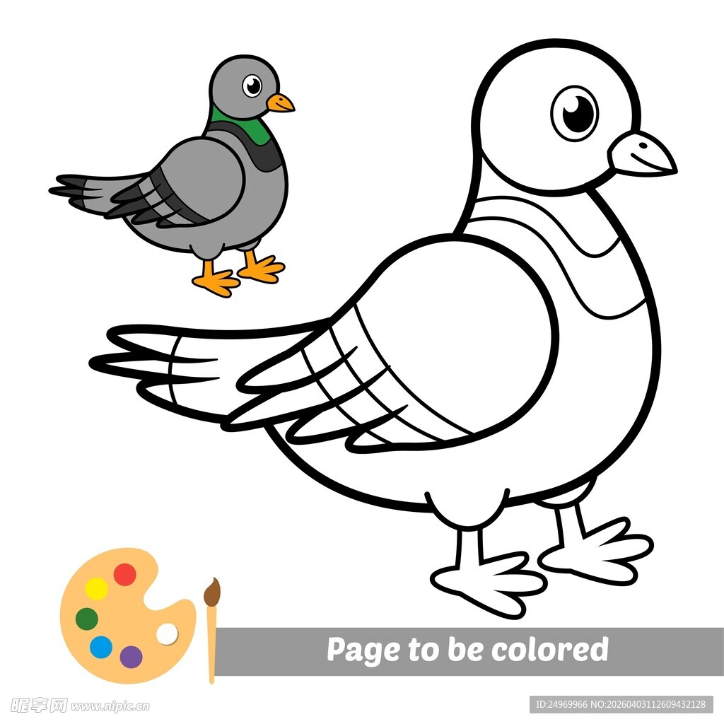 鸽子填色图案