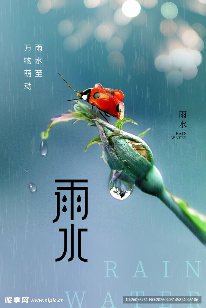 雨水海报 