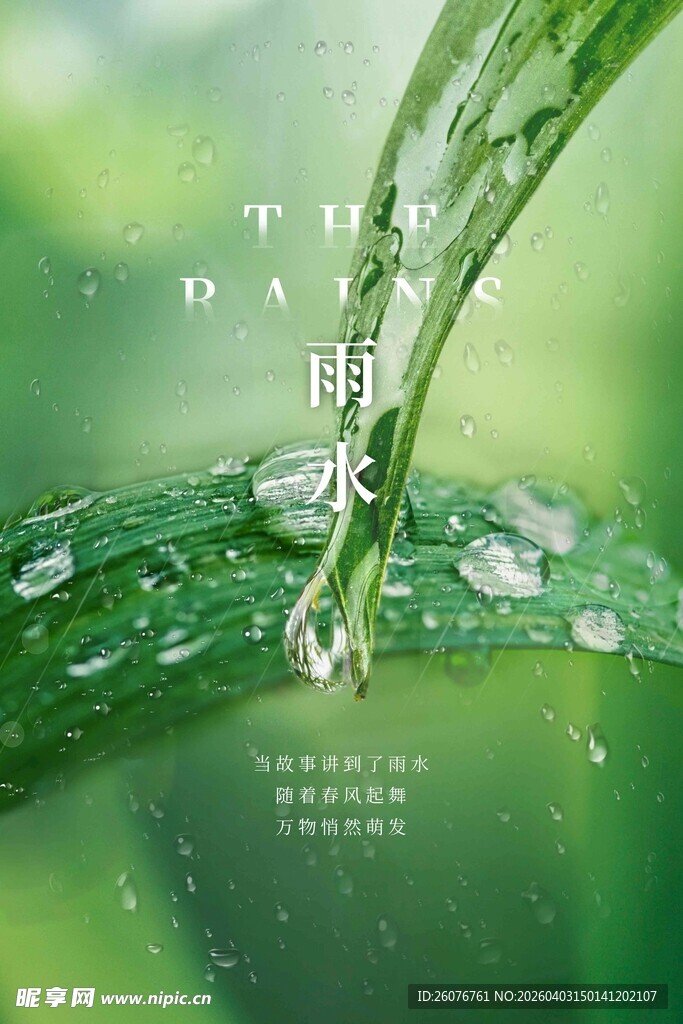 雨水海报 