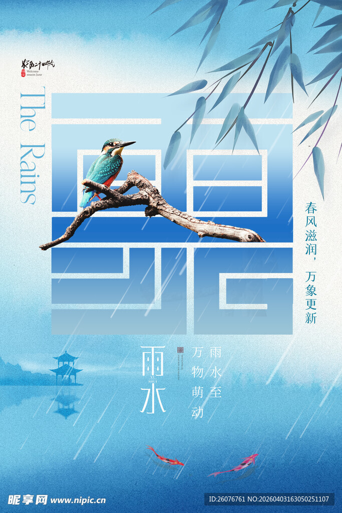 雨水海报 