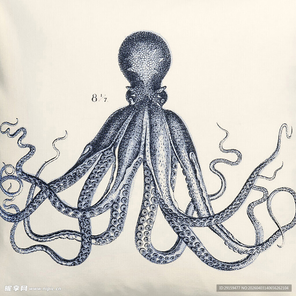 手绘章鱼图案