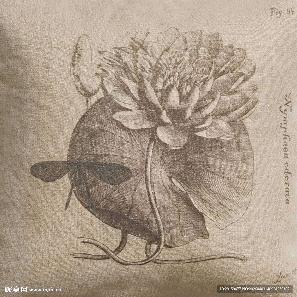 复古风昆虫与莲花插画