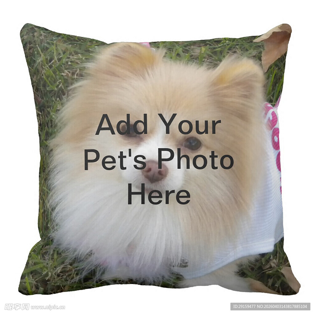 宠物照片定制抱枕