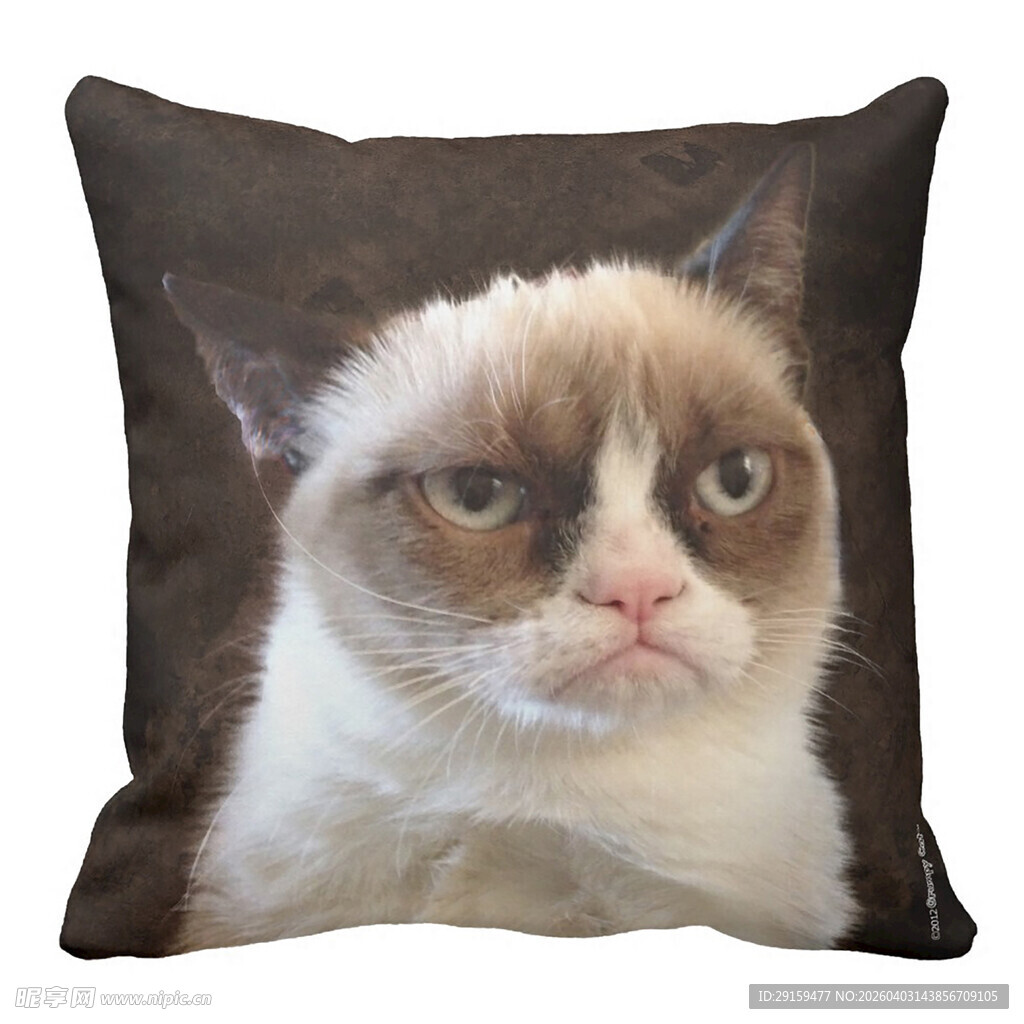 不爽猫图案抱枕