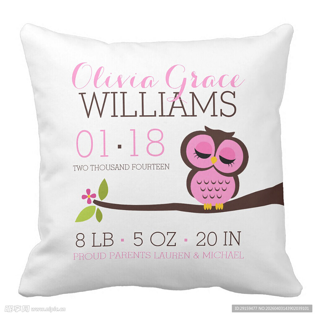 婴儿威廉姆斯出生信息抱枕