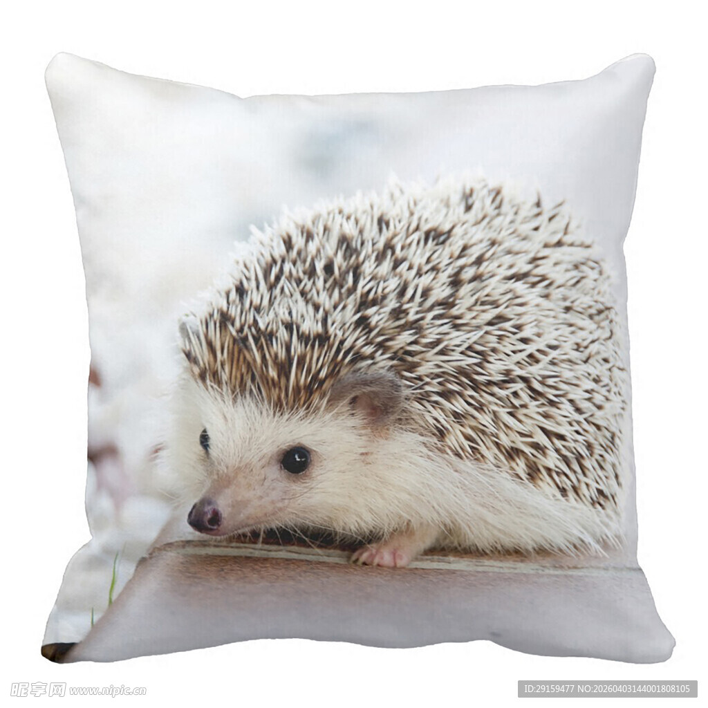 刺猬图案抱枕