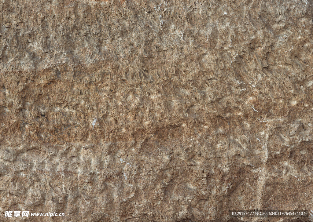 粗糙石质纹理特写