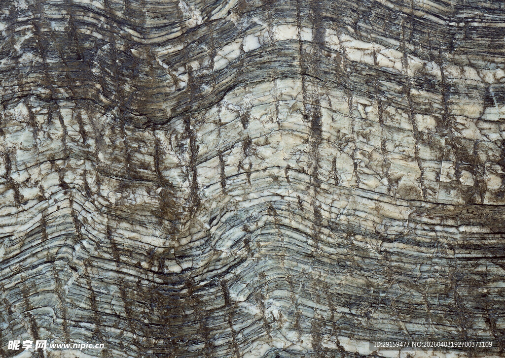 纹理独特的岩石表面