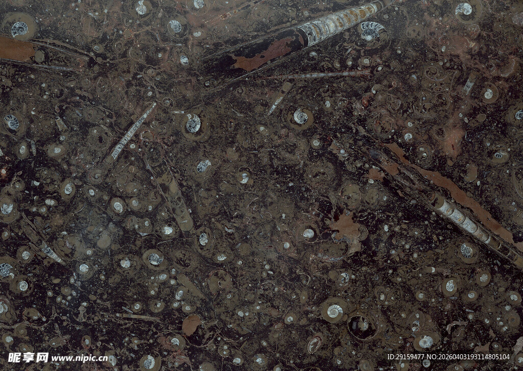 湿润泥土表面的细小颗粒