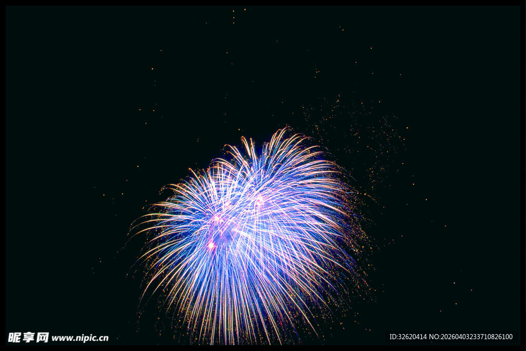 夜空中绽放的绚丽烟花