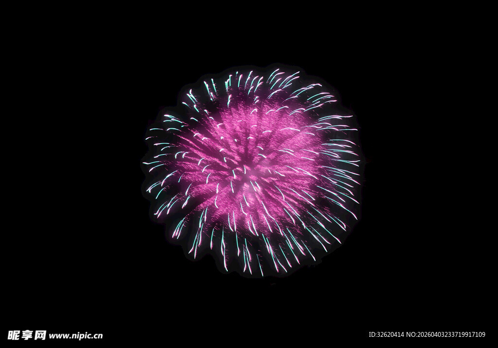 绽放的粉色烟花