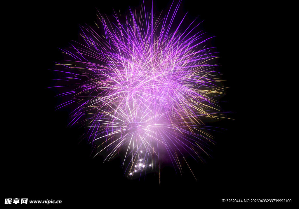 绚丽紫色烟花绽放