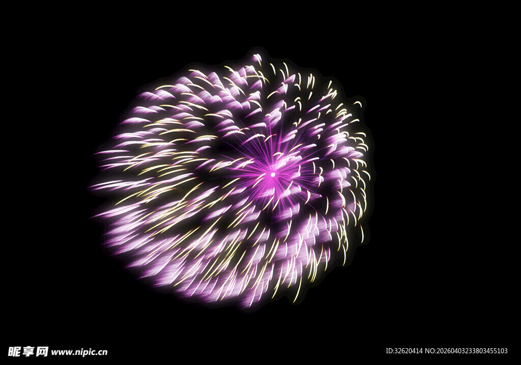 绚丽紫色烟花绽放