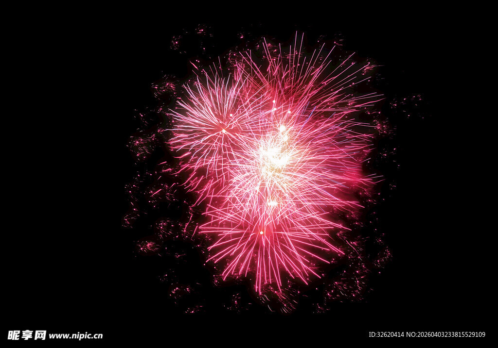 绚丽粉色烟花绽放瞬间