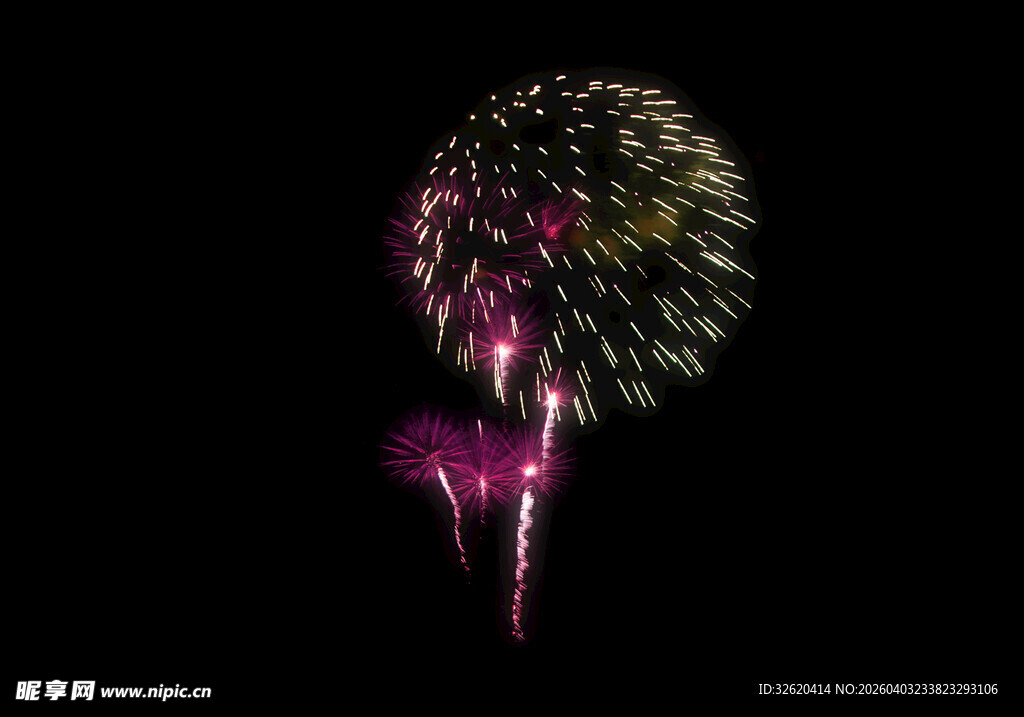 绚丽烟花绽放夜空