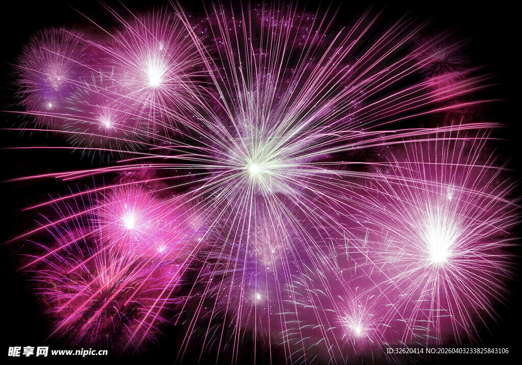 绚丽紫色烟花绽放夜空