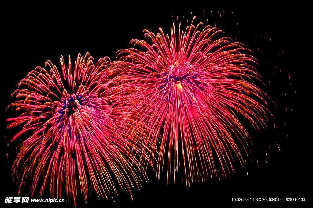 绚丽烟花绽放夜空