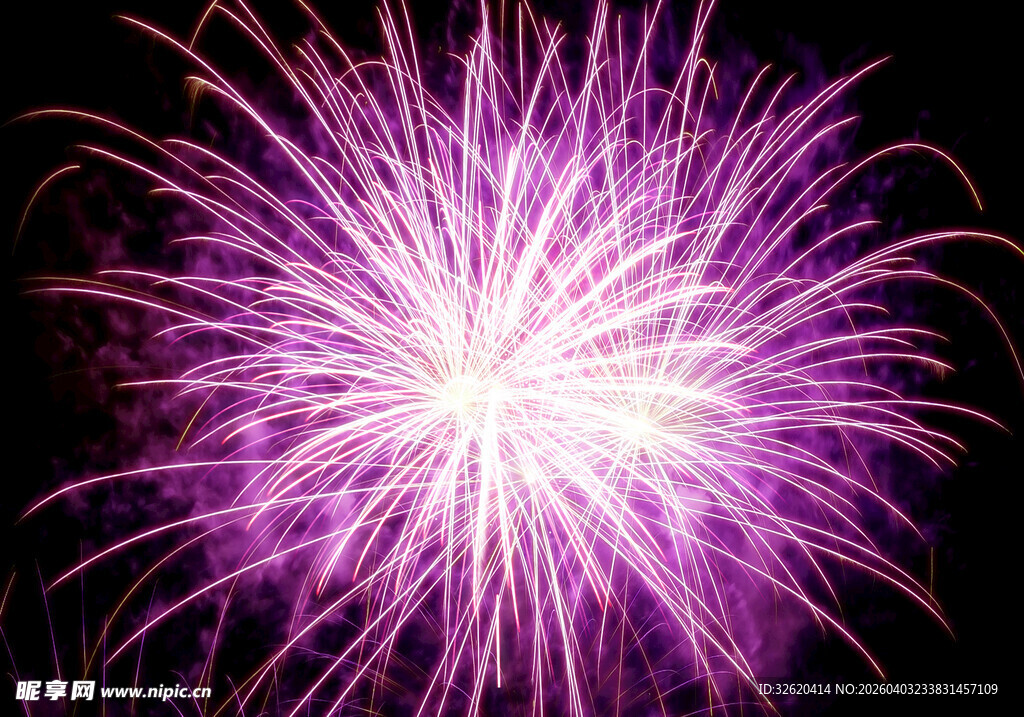 紫色绚烂烟花绽放