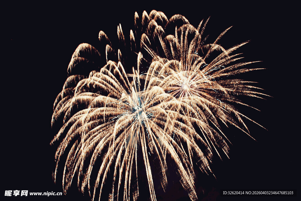 夜空中绚烂的金色烟花
