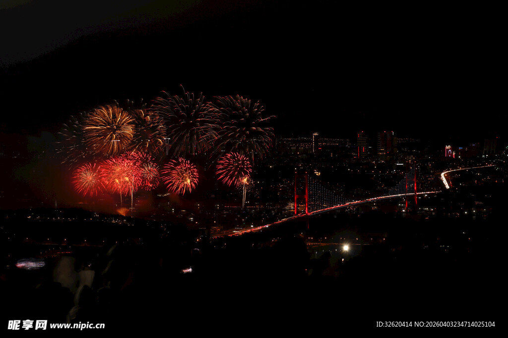 夜空中绚烂的烟花绽放