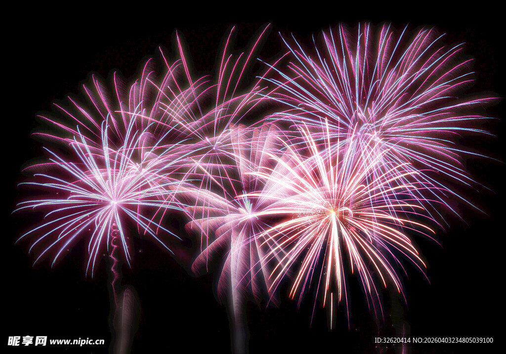 绚丽紫色烟花绽放夜空