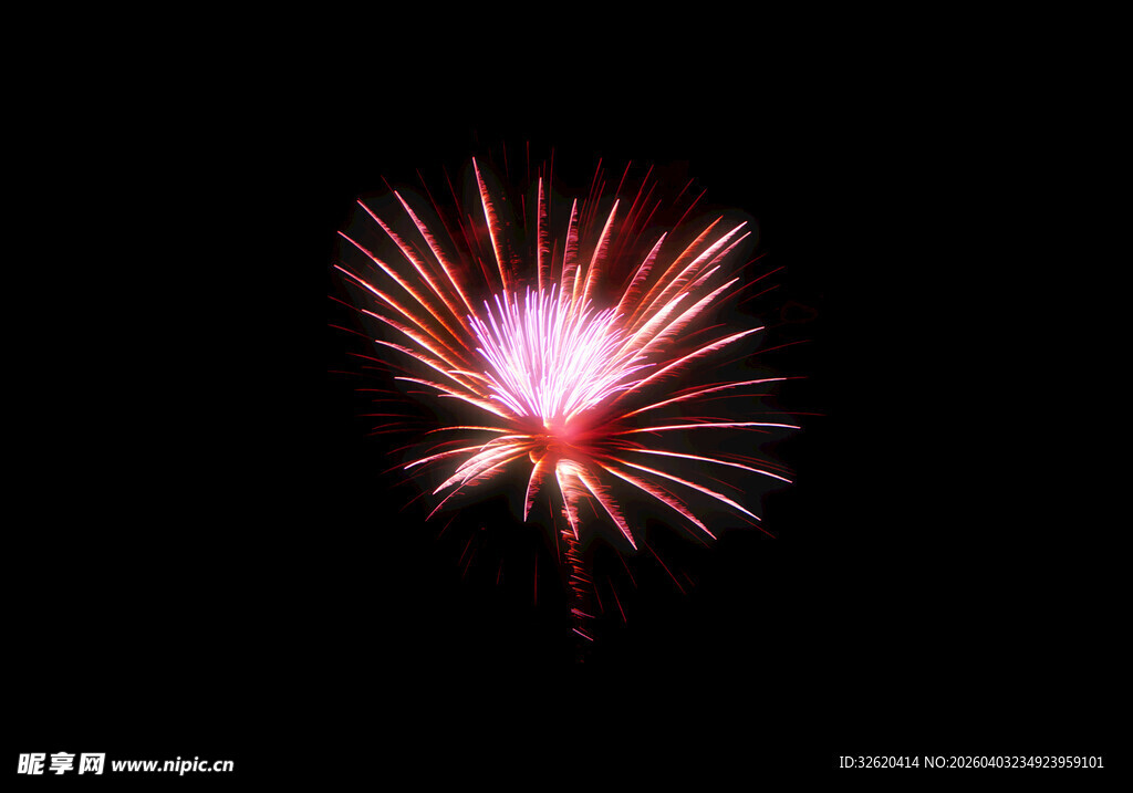 夜空中绽放的绚丽烟花