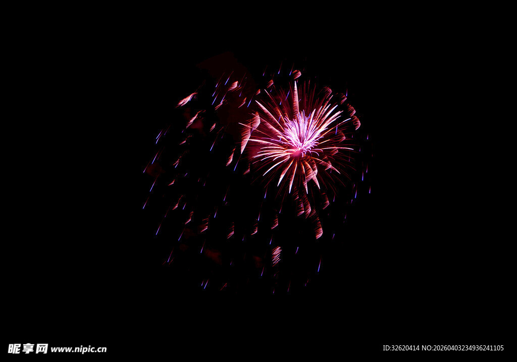 夜空中绽放的绚丽烟花