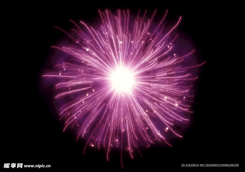 紫色璀璨烟花绽放