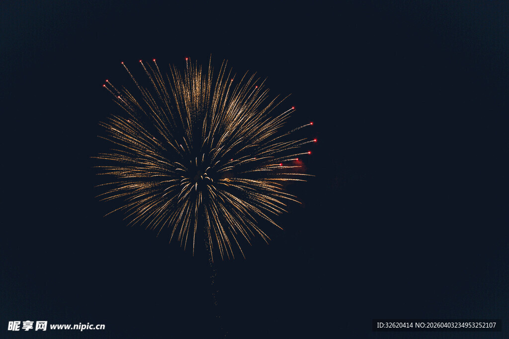 夜空中绽放的绚丽烟花