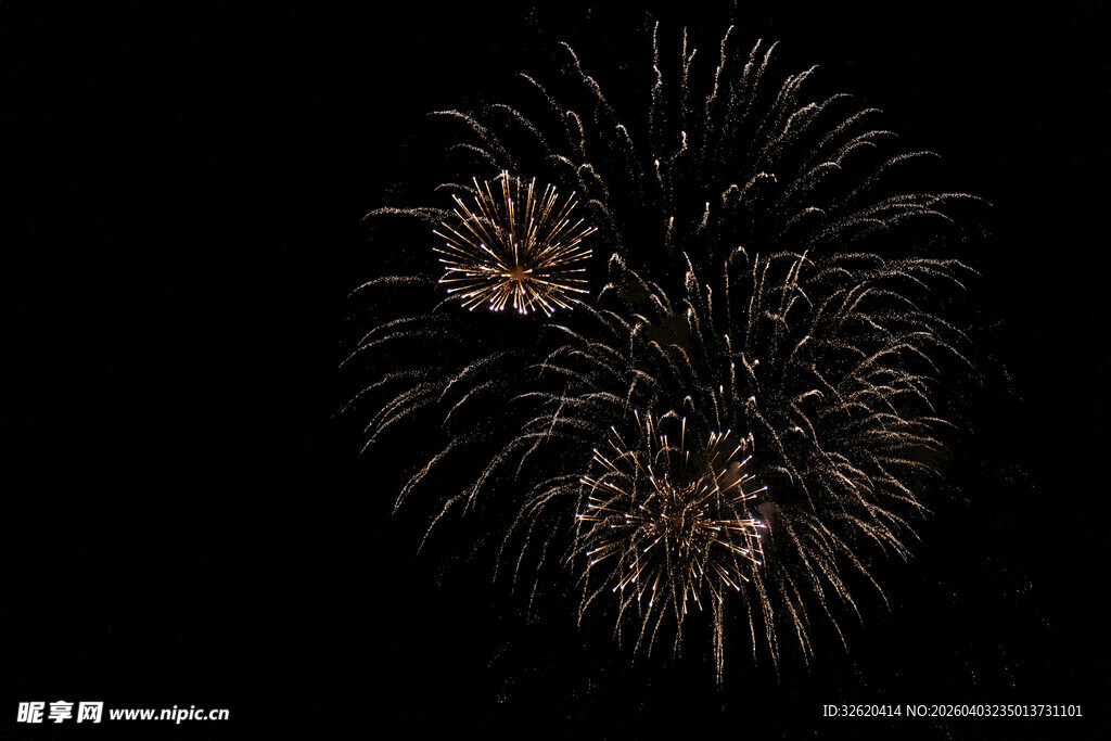 夜空中绚烂的金色烟花