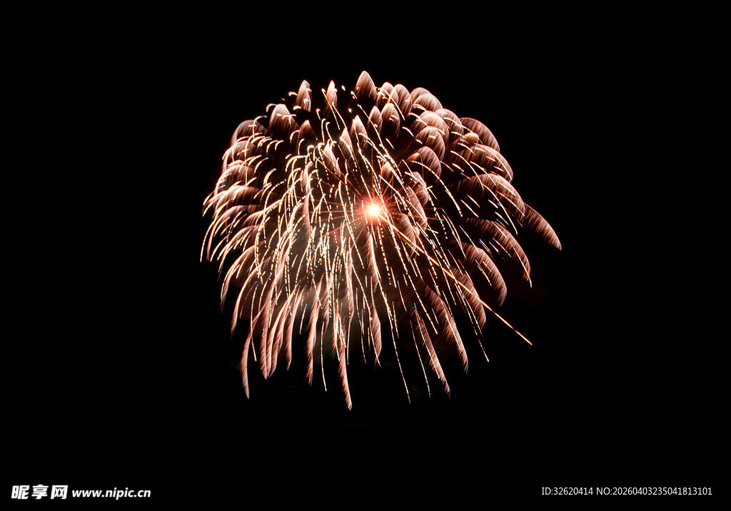 绚丽烟花在空中绽放