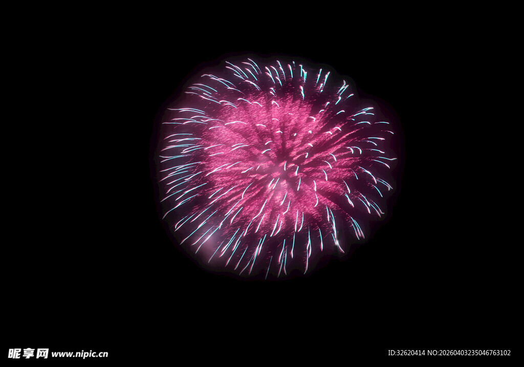 绽放的粉色烟花